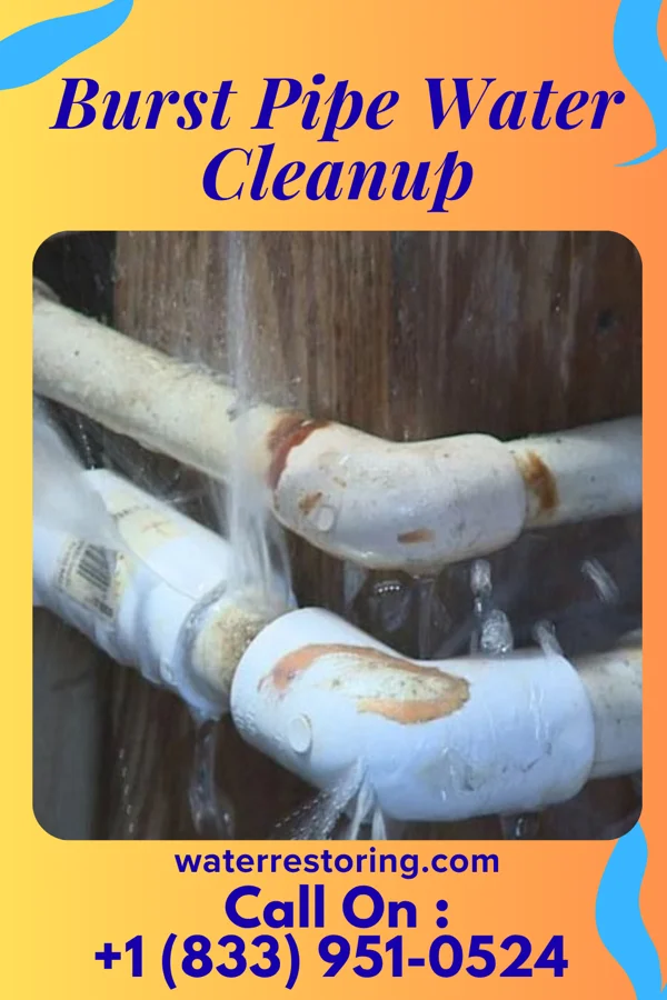 Burst Pipe Water Cleanup in Upland, IN