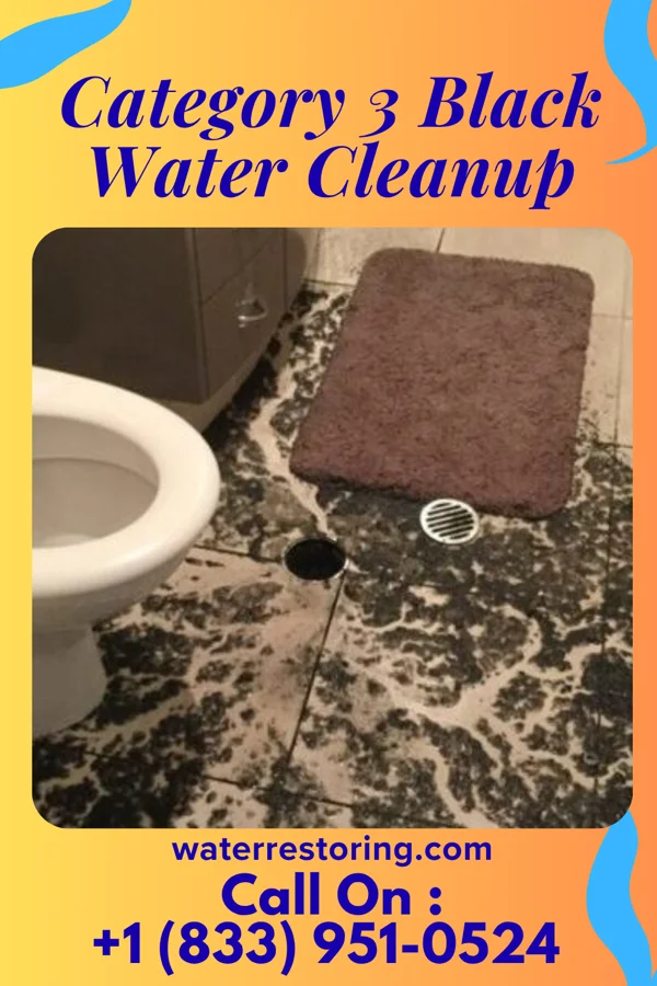 Category 3 Black Water Cleanup in Upland, IN
