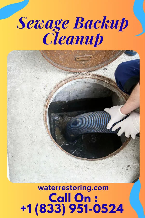 Sewage Backup Cleanup in Upland, IN